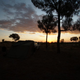 Illustration for article titled AWOL Around Australia... The Red Centre - West - Part 1